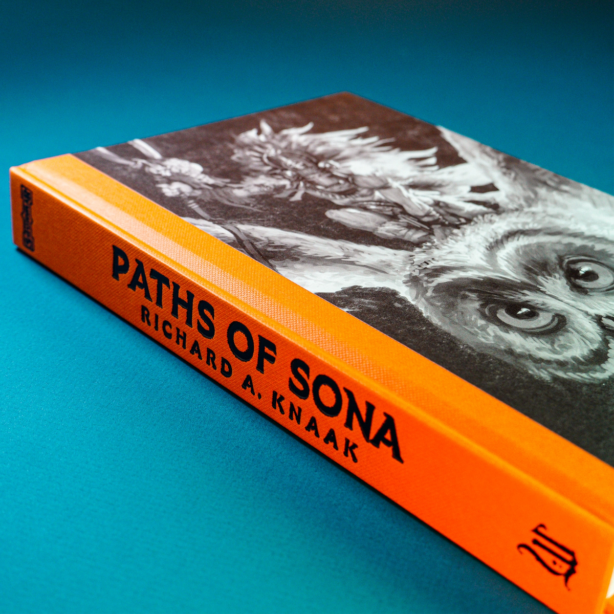 'Paths of Sona' Hardcover
