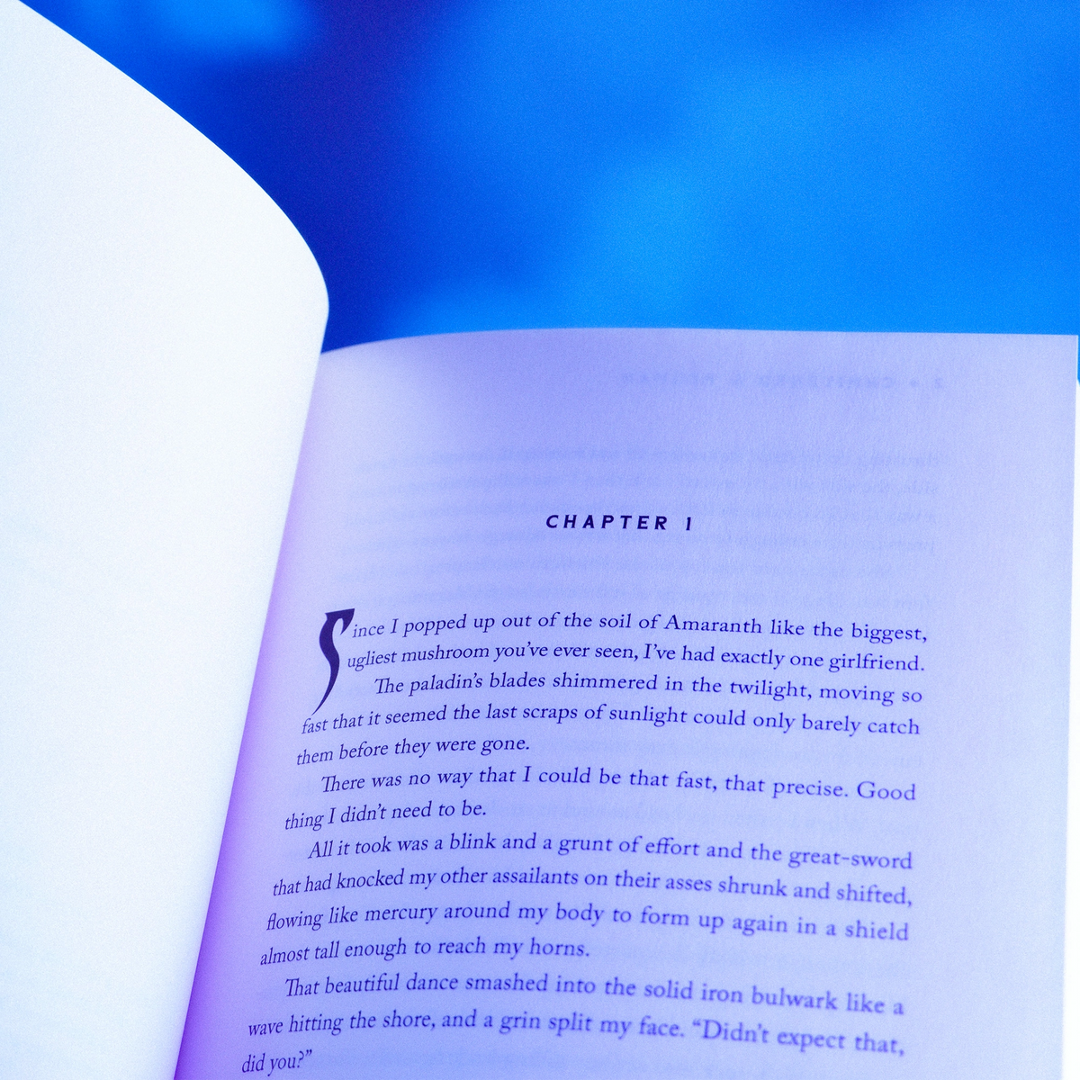 'Wyrmshard' Paperback