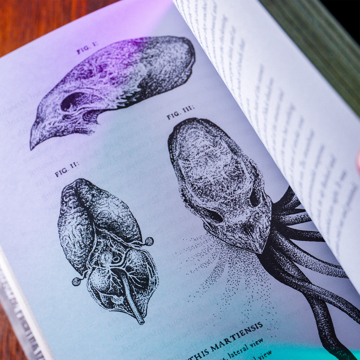 'The War of the Worlds' Illustrated Deluxe Edition