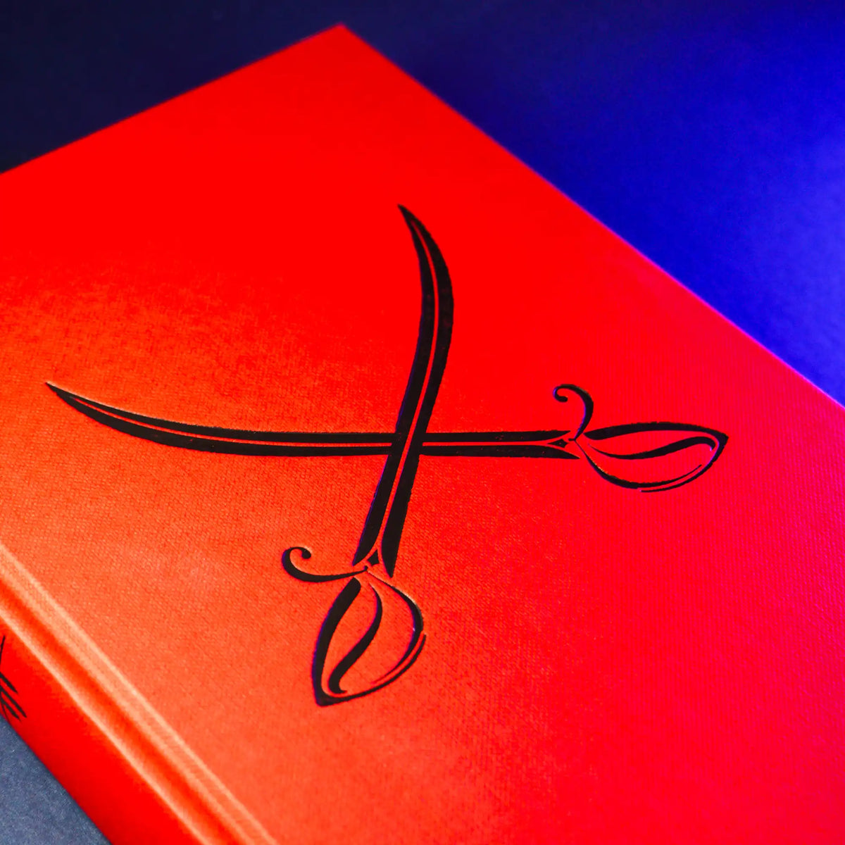 'When Swords Fall Silent' Hardcover