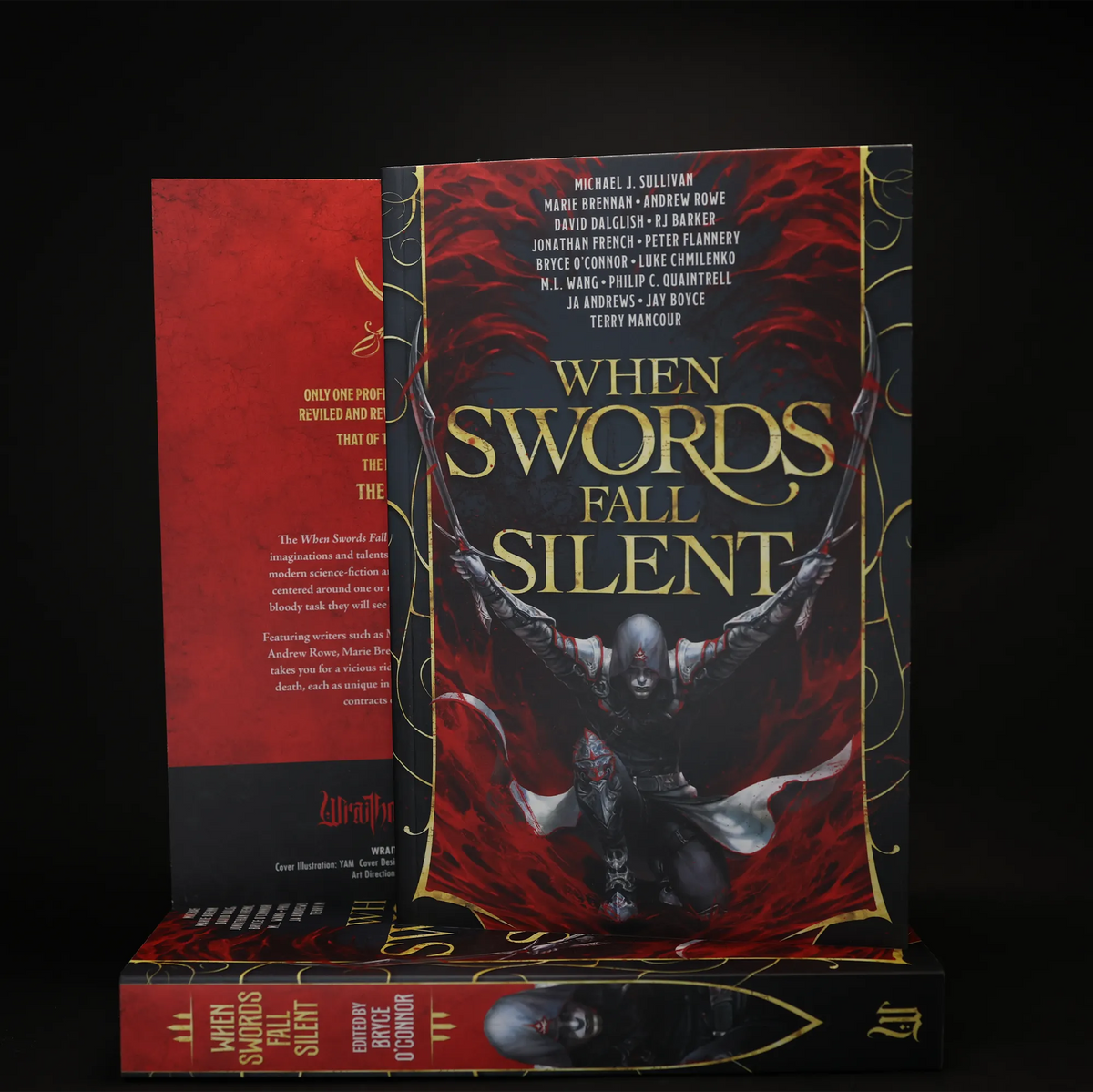 'When Swords Fall Silent' Paperback