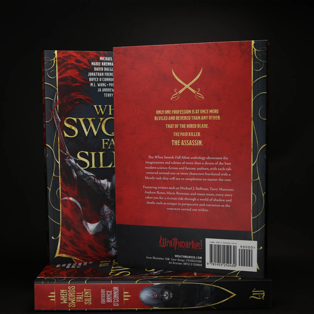 'When Swords Fall Silent' Paperback